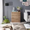 A modern living room scene featuring a wooden chest of drawers, a floor lamp, plants, and a sofa. Náhled obrázku produktu