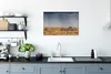 MuchoWow® Poster Gruppe von Zebras in freier Wildbahn 90x60 Produktbild-Vorschau 3