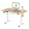 FLEXISPOT QE1 Höhenverstellbarer Schreibtisch, EINTEILIGE Produktbild-Vorschau 1