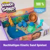 SPIN Kinetc Sand Turtle Beach 6069781 /4 Anteprima dell’immagine prodotto 5