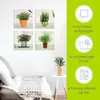 ARTland Leinwandbilder Set, 4tlg. Lavendel, Rosmarin, Produktbild-Vorschau 2