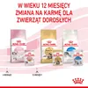 Royal Canin FHN Kitten Instinctive mokra karma dla kociąt w Náhled obrázku produktu 5
