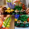 Champignons de forêt Voir les images du produit 17