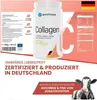 Purefitness VERISOL® Collagen Pulver 450 g - BEAUTY-Formel Produktbild-Vorschau 9