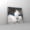 Bilder auf glas - Katze Tiere blaue Augen - 60x60cm - Produktbild-Vorschau 4