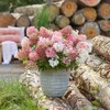 Green boutiQ - Gartenpflanze - Hydrangea panniculata Produktbild-Vorschau 6