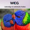 Split image showing a comparison of colors on a bird, with text above. Produktbild-Vorschau