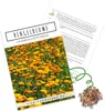 Ringelblumen Samen (Calendula Officinalis) - Vielseitige Produktbild-Vorschau 7