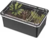 Terrario Reptiland Black 19x12x7,5cm - černé terárium Náhled obrázku produktu 3