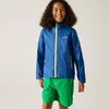 Regatta Kinderjacke Lever Wasserdicht, Farbe:Olympian Blue, Produktbild-Vorschau 2