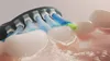 A close-up, animated view of toothbrush bristles cleaning teeth, with water and bubbles. Produktbild-Vorschau