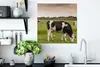 MuchoWow® Poster Kühe - Mühle - Niederlande 50x50 cm - Produktbild-Vorschau 3