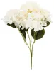 Hortensia Dense Beau Bouquet D'hortensias Fleurs Voir les images du produit 2