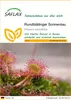SAFLAX - Rundblättriger Sonnentau - Drosera rotundifolia - Produktbild-Vorschau 1