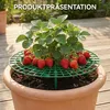 20 Stück Quadratisch Erdbeerreifer Gartenzubehör Produktbild-Vorschau 6