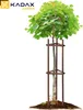 KADAX Baumstütze 130 cm aus robustem Holz, Baumpfahl zur Produktbild-Vorschau 5