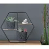 A hexagonal shelf with two planters and decorative stones, placed on a wooden surface against a gray wall. A tall cactus is visible on the right. Produktbild-Vorschau