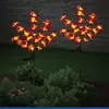 Maximex Solar LED Gartenstecker Orchideen, 2er Set, Produktbild-Vorschau 2