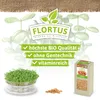 Artikelbild 9 von 'BIO Keimsprossen Weizen' aus der Kategorie Keimsprossen Produktbild-Vorschau