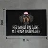 Trendation - Dackel Fußmatte Hier Wohnt Ein Dackel Mit Produktbild-Vorschau 4