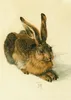 Kunstkarten-Topseller-Set Albrecht Dürer Produktbild-Vorschau 5