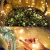 A close-up of a hand holding a string of fairy lights, with a basket of greenery and more fairy lights in the background. Produktbild-Vorschau