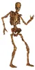Squelette mobile d'Halloween en carton beige-marron 180cm - Voir les images du produit 1
