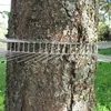 SCHWEGLER 00260/0 Katzenabwehrgürtel  70 cm Produktbild-Vorschau 7