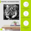 ARTland Poster Tiger Größe: 30x30 cm Produktbild-Vorschau 2