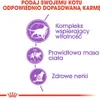Royal Canin Sterilised 7+, Kocięta, Kurczak, 400 g Podgląd zdjęcia produktu 6