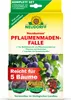 Neudorff Neudomon PflaumenmadenFalle 1 Stk. insektizidfrei Produktbild-Vorschau 1
