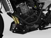 ZIEGER Arceaux de sécurité compatibles avec KTM 790 Duke Voir les images du produit 1