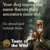 TASTE OF THE WILD Wild Wetlands - Trockenfutter für Hunde - Produktbild-Vorschau 5