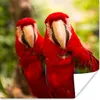 MuchoWow® Poster Papageien - Vögel - Dschungel 50x50 cm - Produktbild-Vorschau 1