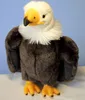 A stuffed toy eagle against a blue background. Voir les images du produit