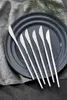 A set of silver knives laid out on a dark gray plate, with a gray cloth and a sprig of greenery in the background. Náhľad obrázku produktu