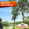 Gardebruk Decespugliatore a Scoppio Multifunzione 5in1 Anteprima dell’immagine prodotto 4
