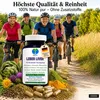 Leber Liver Bitterstoffe & Bitterkräuter Komplex – 180 Produktbild-Vorschau 4