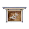 QLS Casa per gatti da esterno in legno 40x50x37 cm tetto Anteprima dell’immagine prodotto 12