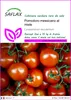 SAFLAX  - Pomodoro messicano al miele - 10 semi - Anteprima dell’immagine prodotto 1