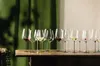 EISCH 2 Allroundgläser 543/2 green kraftvoll&reichhaltig Produktbild-Vorschau 7