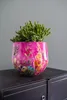 Collezione TS - Blumentopf Fiesta fucsia - 24x21 Anteprima dell’immagine prodotto 5