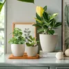 T4U 15cm Pot de fleurs auto-irrigant Lot de 4 Blancs avec Voir les images du produit 2