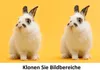 Digitale Schere 2 – Objekte & Personen aus Fotos entfernen, Produktbild-Vorschau 3