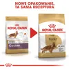 Royal Canin Cocker Adult, Dorosły, Cocker Spaniel, Średnie Podgląd zdjęcia produktu 8