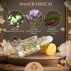 El-Musc  Musc Oud Nutz 6ml Parfümöl - Misk Musk Produktbild-Vorschau 5