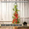 BigDean Rankgitter Metall Rosen Spalier 1,93 hohe Rankhilfe Produktbild-Vorschau 6
