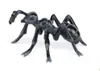 Papo Wild Life Ant 50267 Anteprima dell’immagine prodotto 2