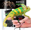 A chameleon is perched on a hand, with a heating pad and controller visible. A spider and product information are in the background. Voir les images du produit