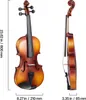 Two views of a violin, one front and one side, with dimensions indicated. Produktbild-Vorschau